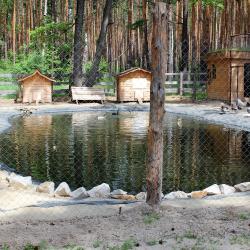 Фото Парк-Отель Березка