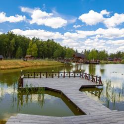 Фото Отель Оленьи пруды