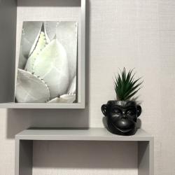 Фото Отель Compass на Николая Семенова 25