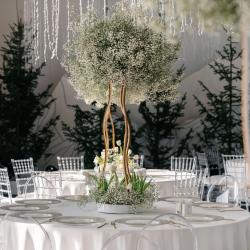 фото 95 Cosmos Collection Altay Resort (Космос Коллекшен Алтай Резорт)