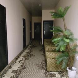 Фото Отель Кедр