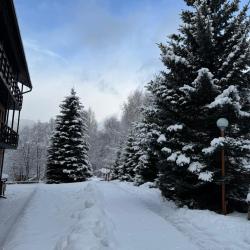 Фото Отель Woodland (Вудлэнд)