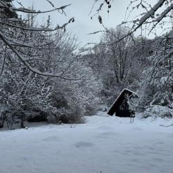 Фото Отель Woodland (Вудлэнд)