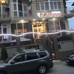 Фото Отель Маэстро