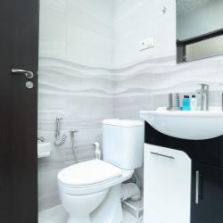 1-комнатные апартаменты эконом Улица Аргишти, дом 11, кв. 80