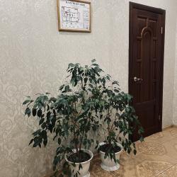 Фото Отель Радуга