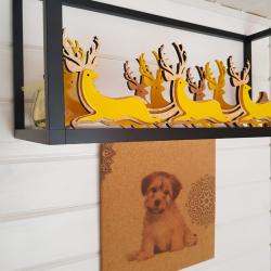 Фото Отель Икигай