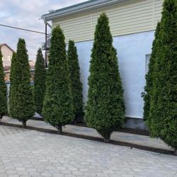 Фото Отель Дуэт