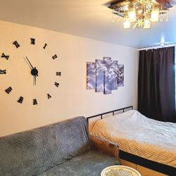 Фото Апартаменты на улице Самохвалова