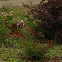 Фото Отель Любимая Усадьба