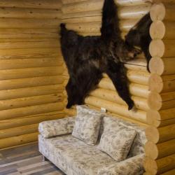 Фото Отель Холодный ручей