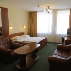 Номер полулюкс с 1 двуспальной кроватью