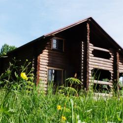 Фото Отель Новгородская Деревня