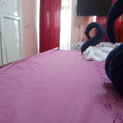 Фото Отель Гостишка