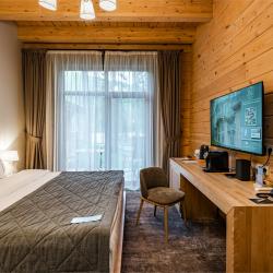 Номер Классик с двуспальной кроватью c видом на гору и балконом