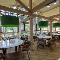 Фото Алтай-парк-отель Подгорица