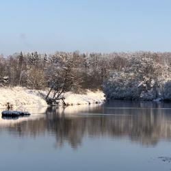 Фото Отель Рузские
