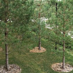 Фото Отель Лунежские горы