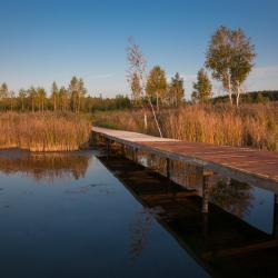 Фото Эко-отель Лесной Ключ