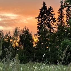 Фото Отель Ладога рядом