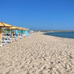 Фото Парк-отель Оленевка