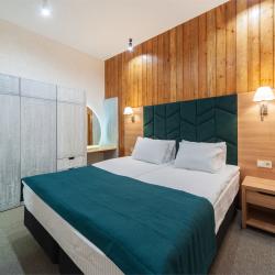 Номер стандарт бизнес #207