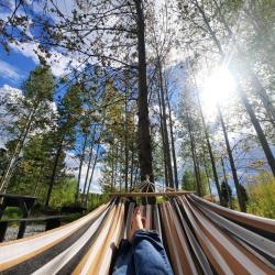 Фото Отель Свобода леса