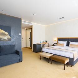 Номер полулюкс с 1 двуспальной кроватью