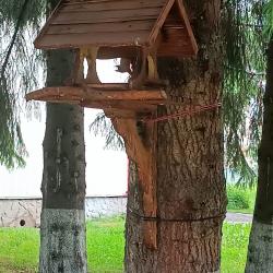 Фото Отель Фантазия