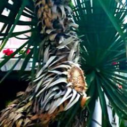 Фото Отель Гостевой дом Петрович