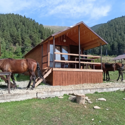 Фото Отель Arkhyz Family Lodge ( Фэмили Лодж)