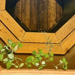 Фото Отель Escape (Эскейп)