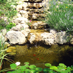 Фото Отель Солнечная Ривьера