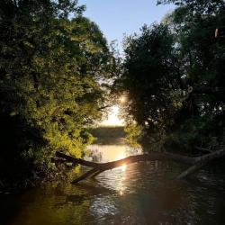 Коттедж стандарт