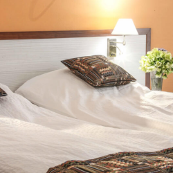 Фото Отель Гостиничный комплекс Кремниевы термы