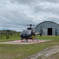 Фото Парк-отель Кречет