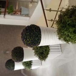 Фото Отель Континенталь