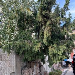 Фото Отель Hostel Edem Bishkek (Эдем )