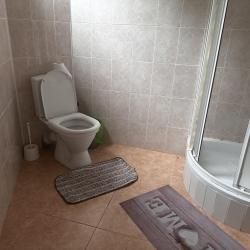 Фото Отель Лев