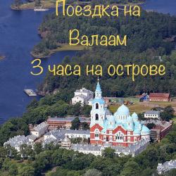 Фото Отель Гостевой комплекс Сосны