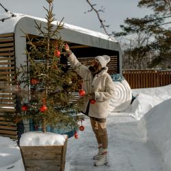 Дом у яблони