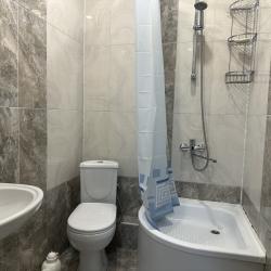 1-комнатные апартаменты стандарт (мансарда)