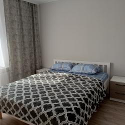 Фото Пятница Апартаменты на улице Гагарина 80А корпус 2