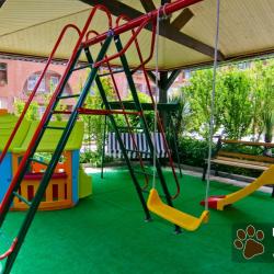 Фото Отель Багира