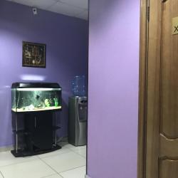 Добрый кот — c2b1999e0b99a9ad61da43df2e59b8b1