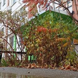 Фото Отель VLZhome (ВЛЗхоум) на улице Александрова