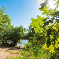 Фото Отель Дача Поддубного