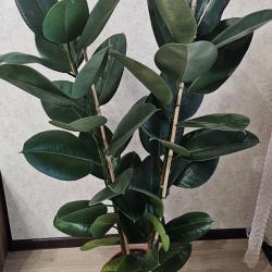 Фото Апартаменты на улице им. Чернышевского Н.Г. 52Б