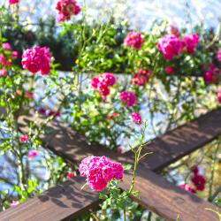 Фото Отель Домик в горах