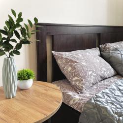 Апартаменты студия